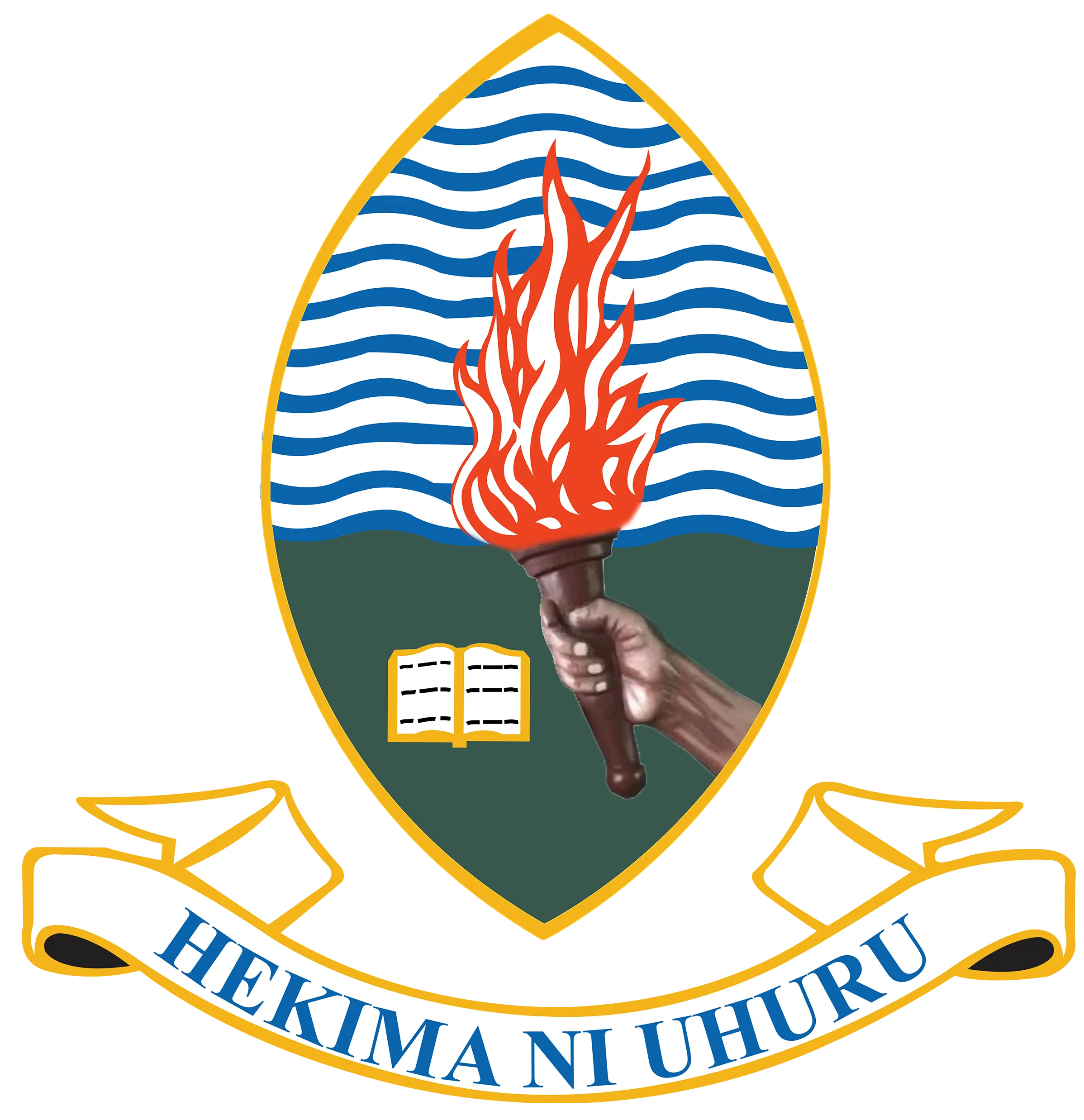 udsm-coict